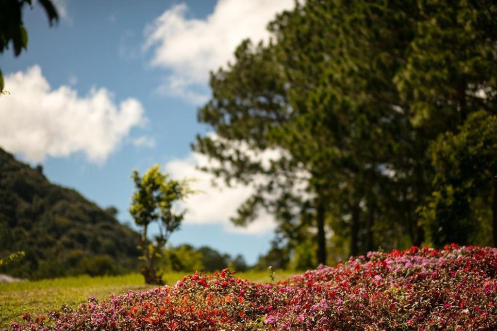Sam Tuyen Lam Resort Далат Екстер'єр фото
